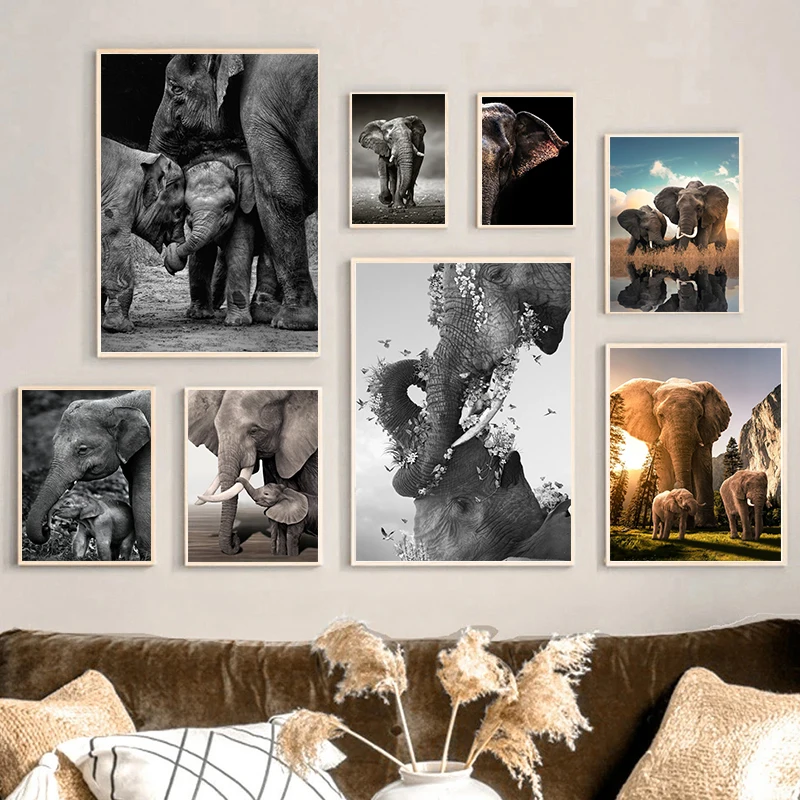Dzikie słonie plakaty rodzinne – Baby Nursery Images recenzja i cena